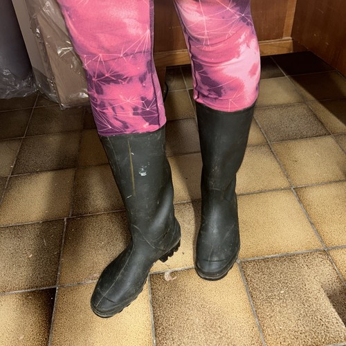Gummistiefel stall damen - gummistiefel,